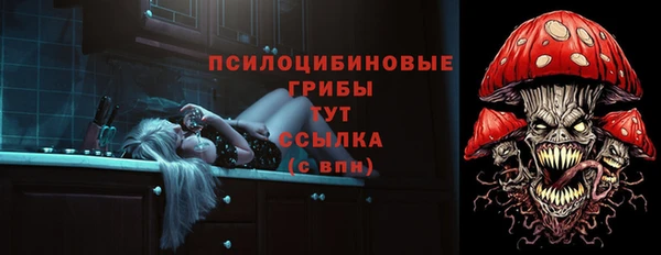 прущий лед Балахна
